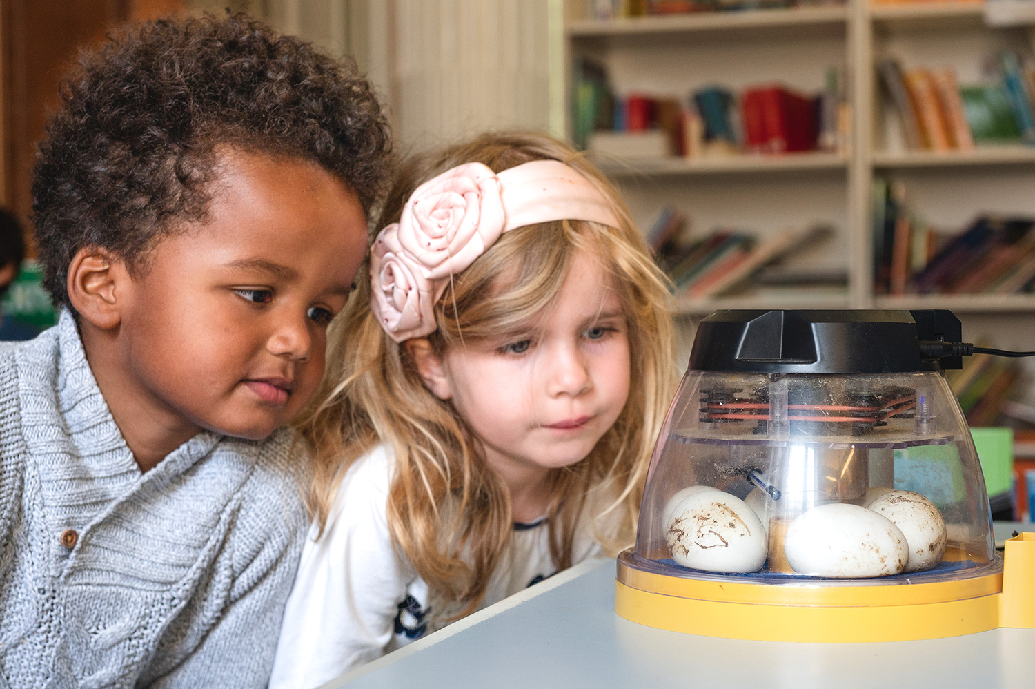 EIFA Two children are curiously observing a small incubator with eggs inside. The boy on the left, in a gray sweater, has short curly hair, while the girl on the right sports long blonde hair with a large headband and wears a white top. Bookshelves hint at their bilingual studies at EIFAs London campus.