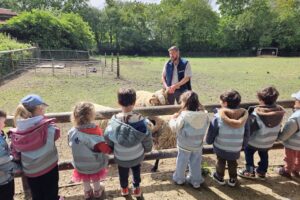 EIFA Un groupe de jeunes enfants vêtus de gilets assortis regardent un homme caresser un mouton dans une ferme en plein air, entourée d'arbres verts et de clôtures en bois, alors qu'ils célèbrent la Journée mondiale de l'alimentation par une journée ensoleillée.