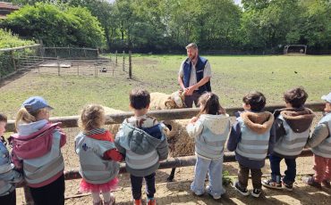 EIFA A group of children wearing matching vests stands by a wooden fence during International Open Day, watching a man petting a sheep in a grassy enclosure surrounded by trees on a sunny day.