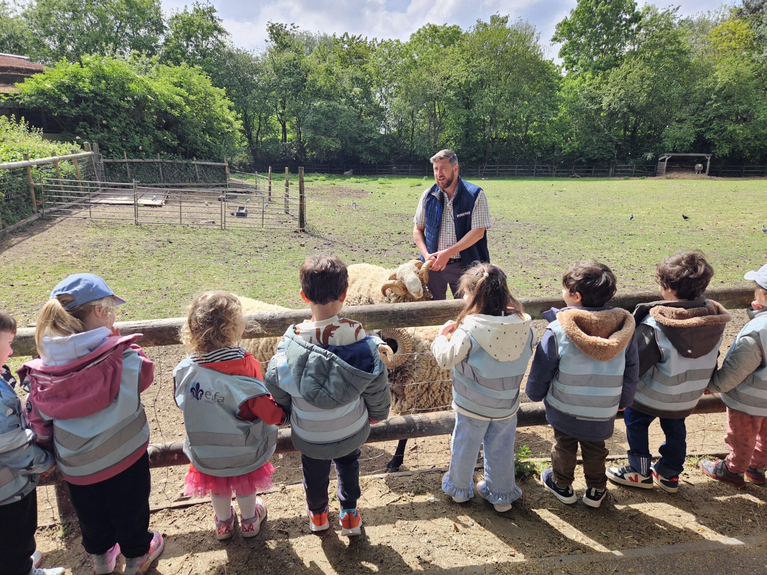 EIFA A group of children wearing matching vests stands by a wooden fence during International Open Day, watching a man petting a sheep in a grassy enclosure surrounded by trees on a sunny day.