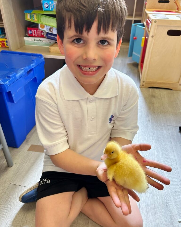 EIFA Un jeune garçon vêtu d'un polo blanc et d'un short noir sourit tout en tenant délicatement dans ses mains un petit caneton jaune duveteux. Il est assis à l'intérieur et des fournitures scolaires sont visibles à l'arrière-plan.
