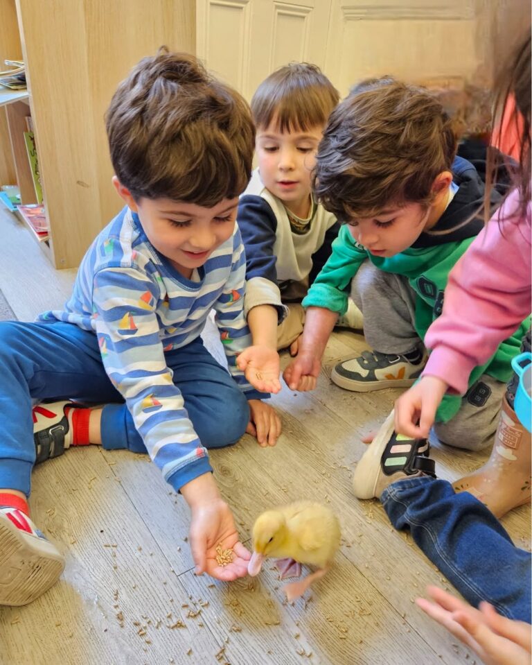 EIFA Trois jeunes enfants sont assis par terre, souriant et nourrissant un caneton jaune avec leurs mains. Le sol est parsemé de nourriture et un autre enfant est partiellement visible sur la droite.