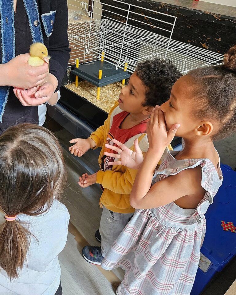 EIFA Trois jeunes enfants regardent avec excitation un petit canard jaune qu'un adulte tient délicatement devant une cage. L'un d'entre eux se met les mains sur la bouche en signe de surprise.