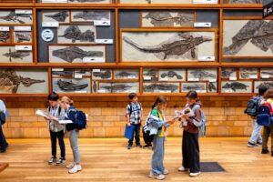 EIFA A group of children stand in front of a wall of framed marine reptile fossils in a museum, holding pamphlets and looking at the displays.
