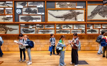 EIFA A group of children stand in front of a wall of framed marine reptile fossils in a museum, holding pamphlets and looking at the displays.