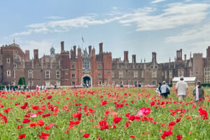 EIFA Year 3 and Year 4 visited the Isle of Wight, where people walk through a field of red poppies in front of a large historic brick building with many chimneys and turrets under a partly cloudy sky, surrounded by trees and groups of tourists.