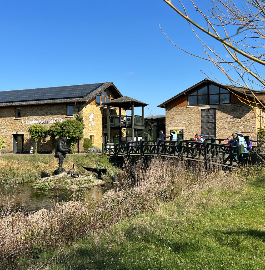 EIFA View of London Wetland Centre entrance with two brick buildings connected by a wooden bridge. Visitors stand on the bridge, enjoying the sunny day. A wildlife sculpture is visible near the water below. Grass and trees frame the scene.