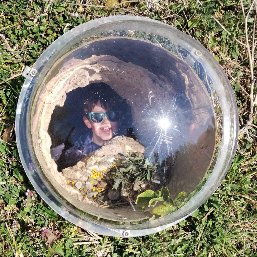 EIFA A child wearing sunglasses is inside a dome-shaped transparent cover, smiling and looking up. The dome is surrounded by grass and small yellow flowers outside, with sunlight reflecting on its surface.