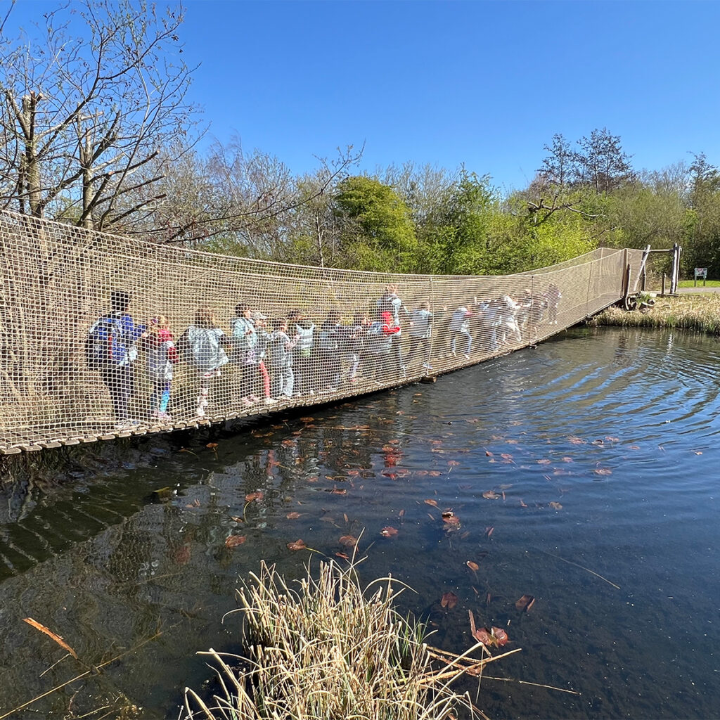 EIFA A group of people walking across a suspension bridge over a pond with clear blue skies above. The bridge is made of netting and wood. Below, fish swim near the surface of the water surrounded by reeds and trees in the background.